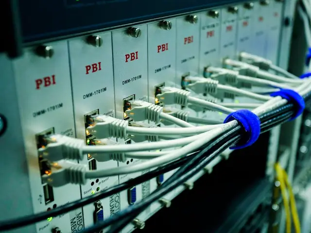 Patch panel con cables de red conectados y ordenados en un gabinete.