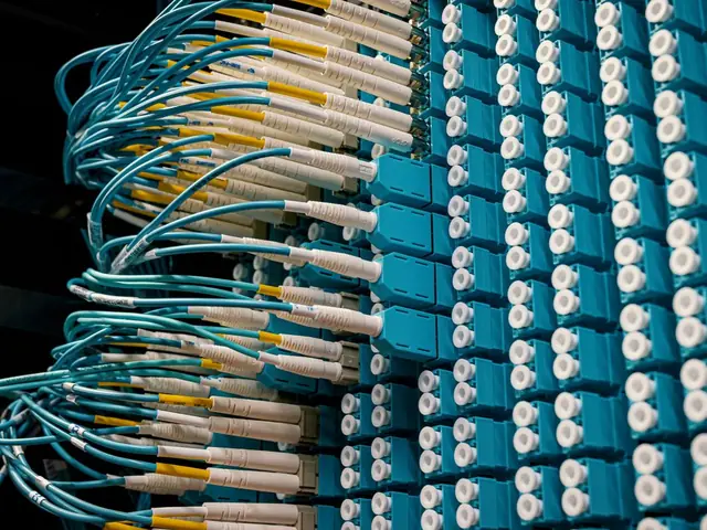 Cables de fibra óptica conectados a un panel de distribución.